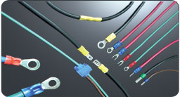 banner6.jpg